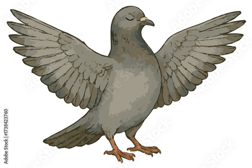 Graceful Columba livia showing unique pose