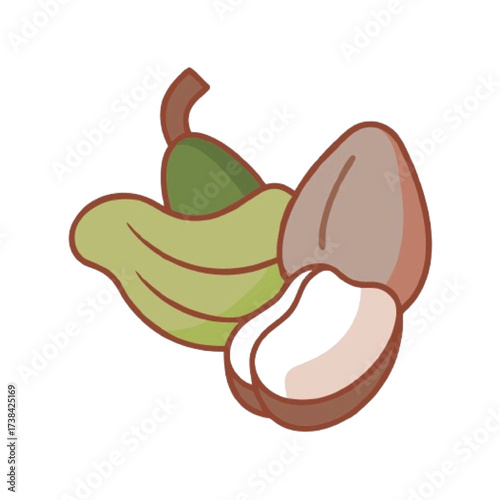 A simple and charming illustration of cardamom pods and a shea nut, showcasing their natural textures and colors against a clean white background isolated on white background