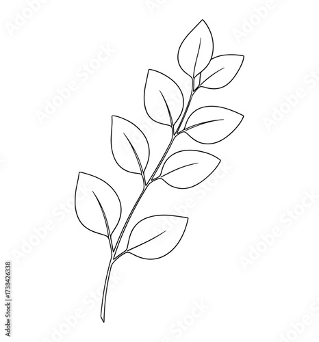 Leaf branch against white background
