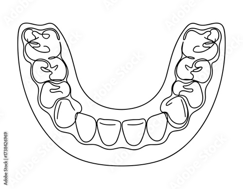 Dental arch line drawing black white
