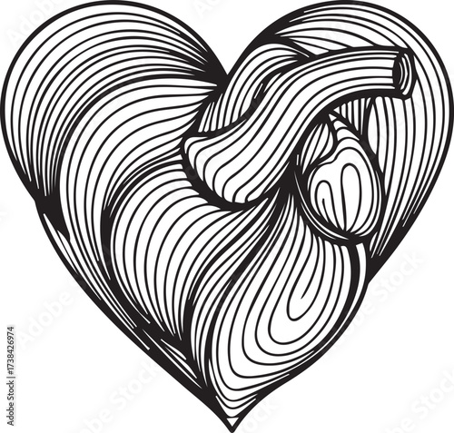 Intricate line art illustration of a heart merging with anatomical circulatory system.