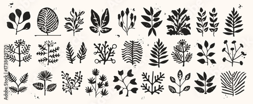 Collection of native botanical leaves and plants in black silhouette style.Natural foliage elements. Hand drawn monochrome primitive. Unusual organic forms in matisse style.Isolated white background. 