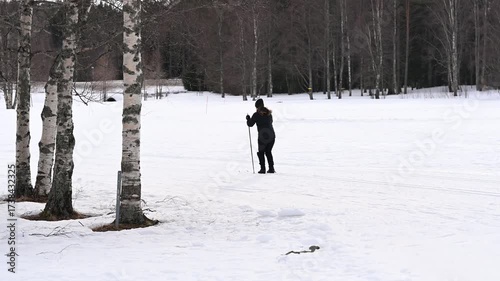 Group of people skiing on track in cross country ski zone during the winter. Ski track through the through woods with nature background on cloudy day.