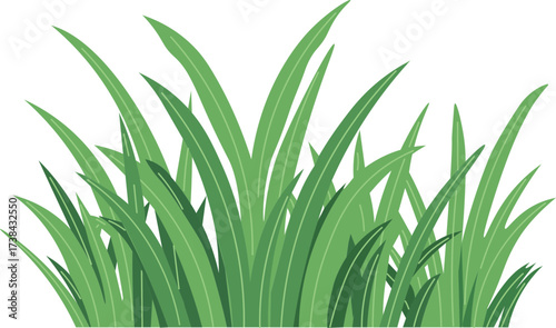 tall grass against a bright white backdrop creating a minimalist botanical design with a nature inspired aesthetic silhouette vector
