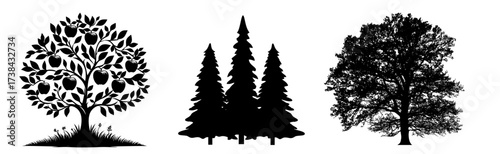 Diverse Tree Silhouettes Collection Featuring Apple Pine and Deciduous Varieties Against White