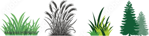 tall grass against a bright white backdrop creating a minimalist botanical design with a nature inspired aesthetic silhouette vector
