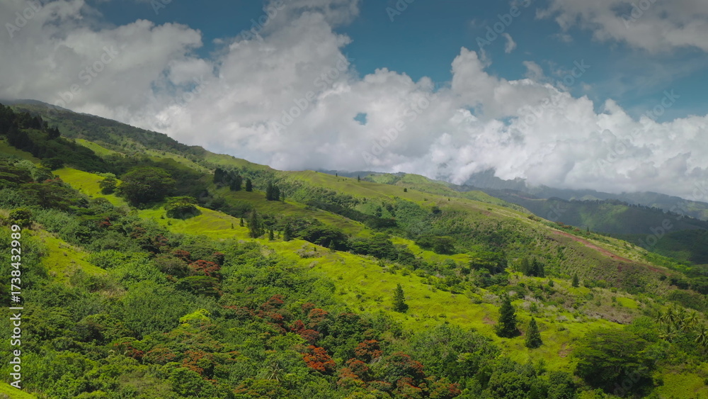 Fototapeta premium Aerial drone view showcasing the vibrant, verdant landscape of Tahiti, with lush vegetation covering rolling hills under a dynamic sky filled with clouds