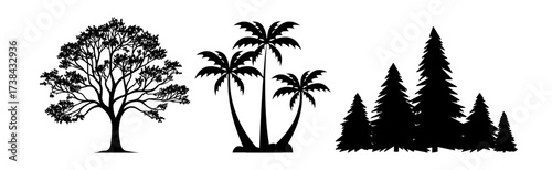 Diverse Tree Silhouettes Collection: Broadleaf, Palm, and Coniferous Forest Icons and Vectors for