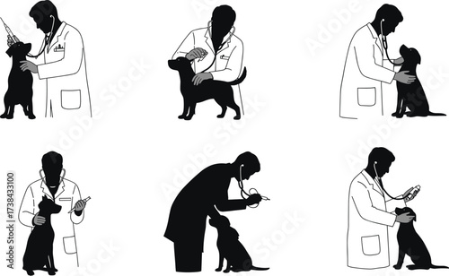 Veterinarian Examining Dog Silhouettes, Pet Check-up, Vaccination, Stethoscope Use, Animal Healthcare and Professional Service Icons Set, Vector

.