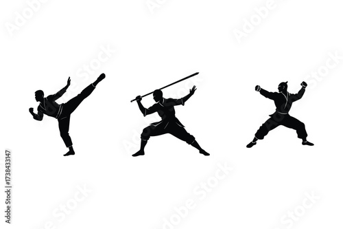 Fighting Pose Martial Arts Graphic Collection
