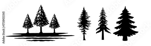 Collection of black pine tree silhouettes and conifer forest vector illustrations set