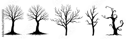 Collection of diverse bare tree silhouettes with intricate branches perfect for seasonal and