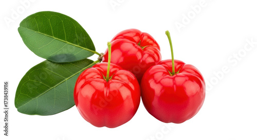 Tableau sur toile Isolated Acerola cherries with stem and green leaves, fresh bright red tropical