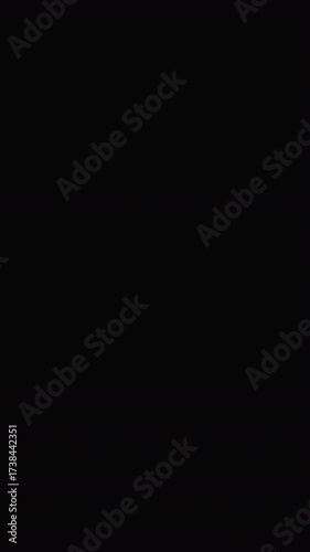 Halloween transition with spider and web on alpha