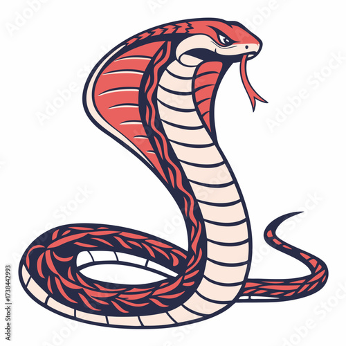 Hand Drawing Cobra Vector Illustration isolated on white background.