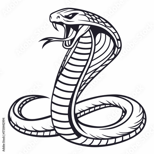 Hand Drawing Cobra Vector Illustration isolated on white background.