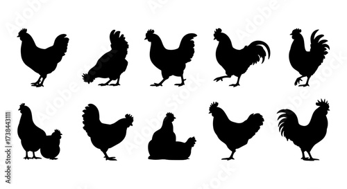 Hen Silhouette Set Collection Vector Illustration