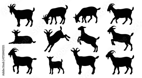 Goat Silhouette Set Collection Vector Illustration