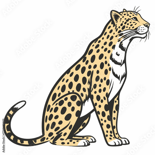 Jaguar Image vector. Spotted Jaguar Sitting Vector Image on white background.