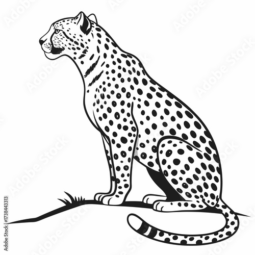 Jaguar Image vector. Spotted Jaguar Sitting Vector Image on white background.