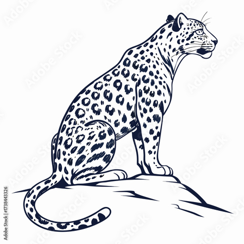 Jaguar Image vector. Spotted Jaguar Sitting Vector Image on white background.