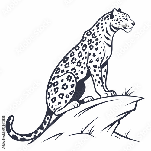 Jaguar Image vector. Spotted Jaguar Sitting Vector Image on white background.