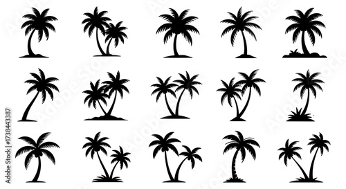 Palm Tree Set Silhouette Vector Illustration