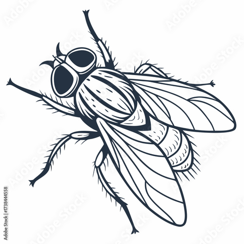 Fly Vector Image. Insect Fly Image vector Isolated on White Background.