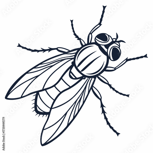 Fly Vector Image. Insect Fly Image vector Isolated on White Background.