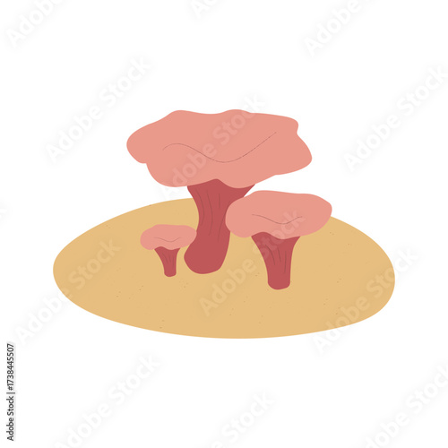 autumn chanterelle mushrooms