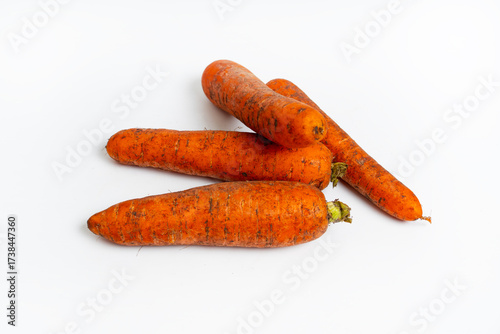 Fresh dirty carrots on white background. Freshly dug carrots. Dirty carrot with ground isolated on white background.