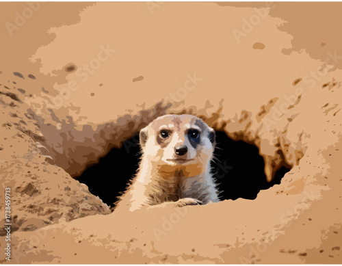 Meerkat Vector Images. Natural habitat of a cute meerkat peeking out of its burrow image vector.