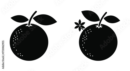 Black and white illustration of two citrus fruits with a flower