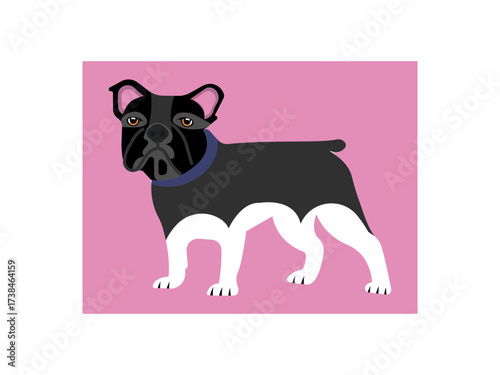 dog silhouette icon flat vector illustration design. puppy emotions, animal icons for design, 
