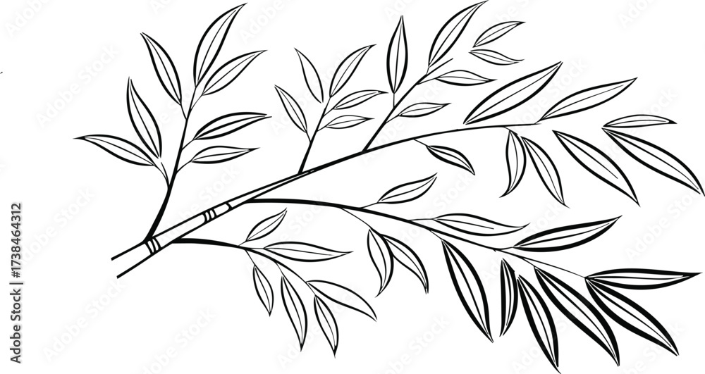 Obraz premium Black and White Outline of Bamboo Branch with Leaves