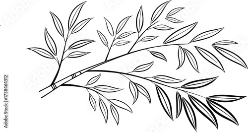 Black and White Outline of Bamboo Branch with Leaves