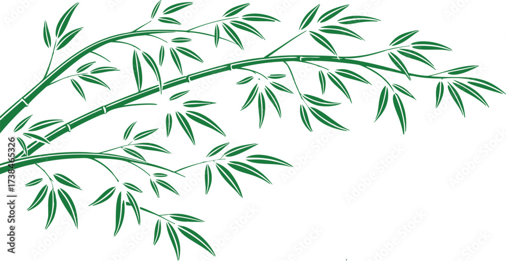 Naklejka premium Green Bamboo Branches with Leaves on White Background