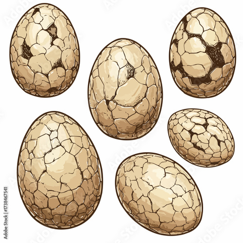 Seven cracked, beige-colored eggs are scattered across a white background, some showing darker patches underneath the shell.