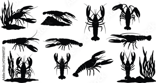 Collection of lobster and crayfish silhouettes in multiple poses with aquatic plants, seafood crustacean vector illustration for marine life, fishing, ocean, and wildlife art