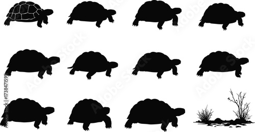 Set of tortoise silhouettes in various walking poses with ground elements, wildlife reptile vector illustration design for zoo, nature, turtle, animal, and conservation art