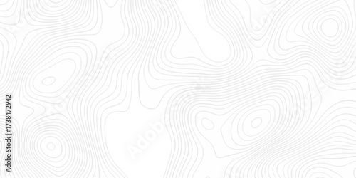 Abstract The pattern discovery vector topo diagram map. creative discovery White wave grid stripe line map topography. vector geographic contour mounted map background.	
