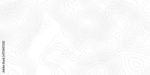 Abstract minimal The pattern discovery vector topo map creative discovery White wave grid stripe line map topography. vector geographic contour mounted map background.	