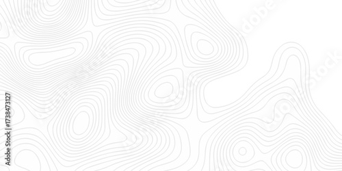 Abstract The pattern discovery vector topo diagram map. creative discovery White wave grid stripe line map topography. vector geographic contour mounted map background.	