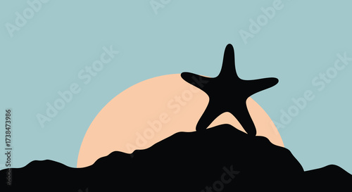 Silhouette of a Starfish on a Rocky Outcrop Against a Setting Sun.