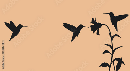 Silhouettes of hummingbirds flying around a flower.