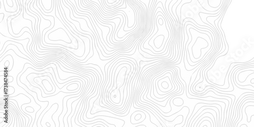 Abstract The pattern discovery vector topo diagram map. creative discovery White wave grid stripe line map topography. vector geographic contour mounted map background.	
