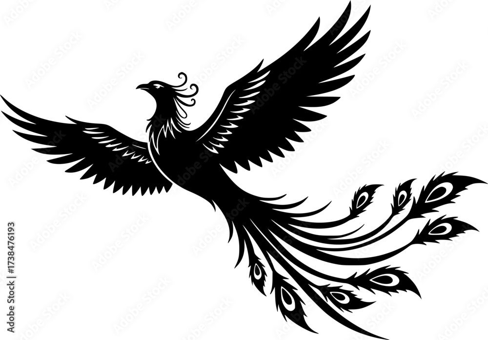 Obraz premium Majestic black bird silhouette in flight with wings spread wide isolated on white background 