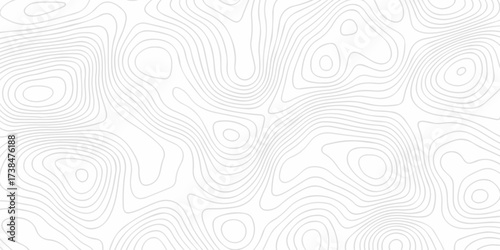 Abstract The pattern discovery vector topo diagram map. creative discovery White wave grid stripe line map topography. vector geographic contour mounted map background.	