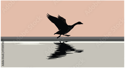 Silhouette of a goose taking flight over water at sunset.