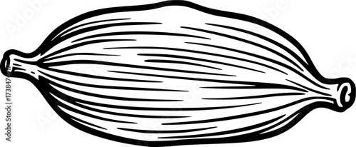 A simple black line drawing of a single cardamom pod silhouette isolated on white background

